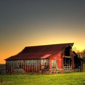 Meet your Posher, Danelle